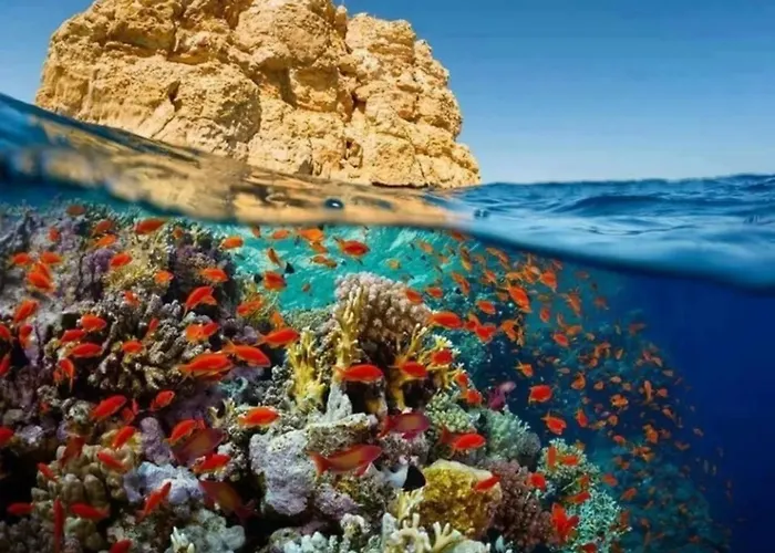Elegant & Aqua Park Direct Lagoon View Free Wi-fi Sheikh *